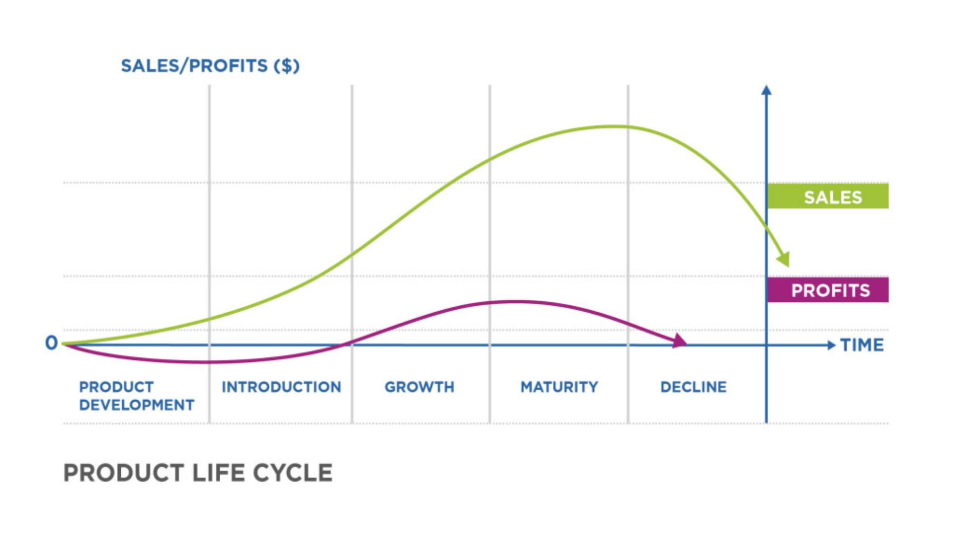 Amazon Product Lifecycle 4 Stages (And What That Means For You)